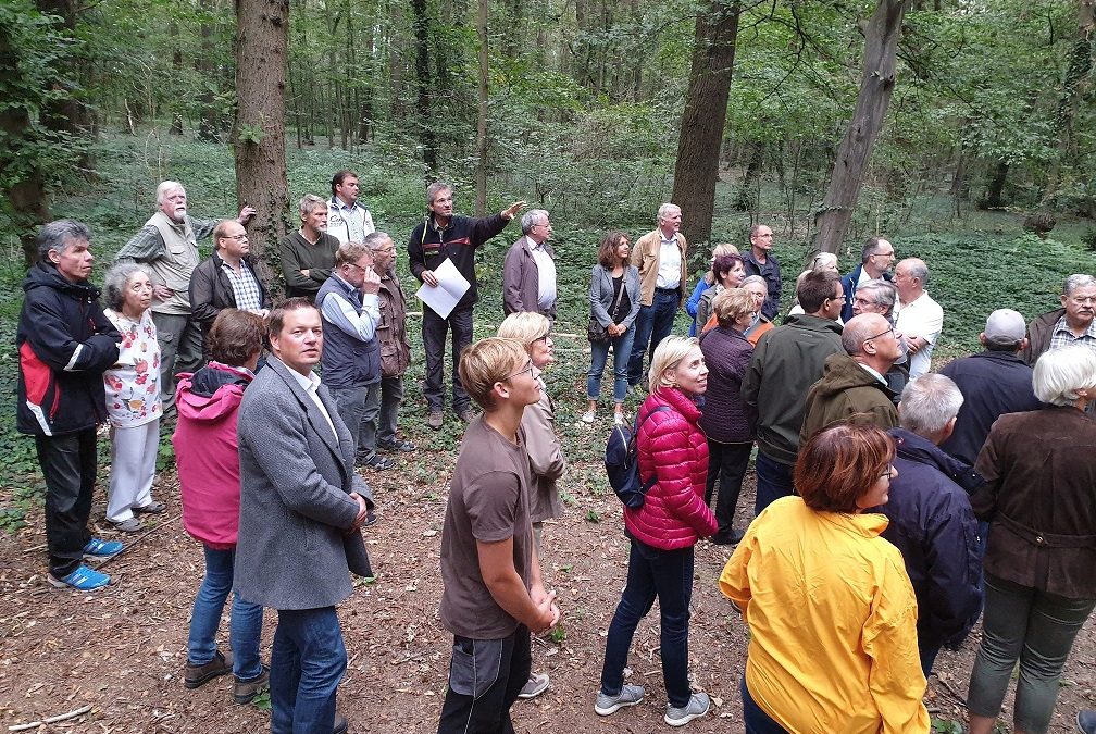 Klimaschutz: Wiederaufforstung der Wälder muss angepackt werden